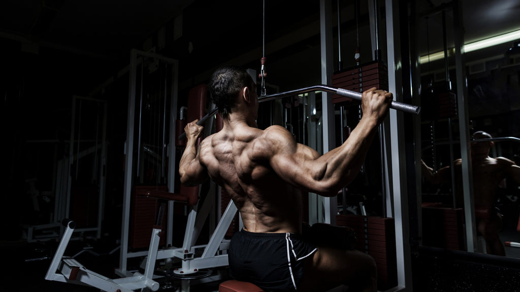 Wide-Grip Lat Pulldowns / Pull Downs / Pullovers – WorkoutLabs Exercise  Guide