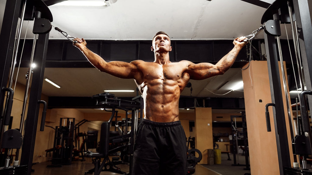 The Ultimate Upper Chest Exercise - Untapped Supplement