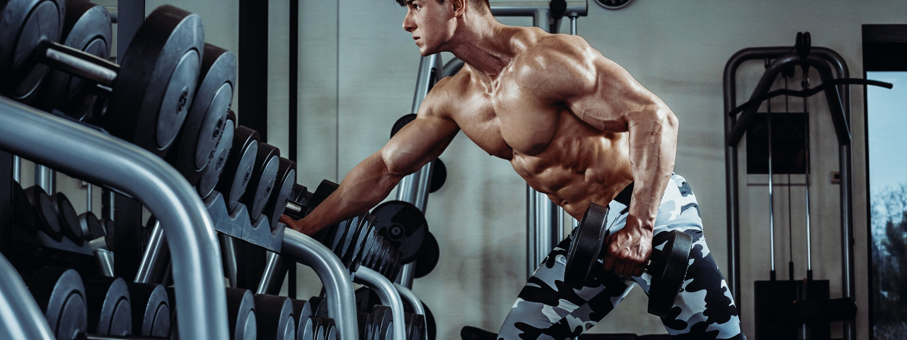 Illustration of the Pareto Principle applied to fitness results