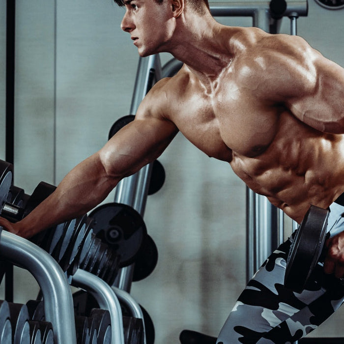 Illustration of the Pareto Principle applied to fitness results