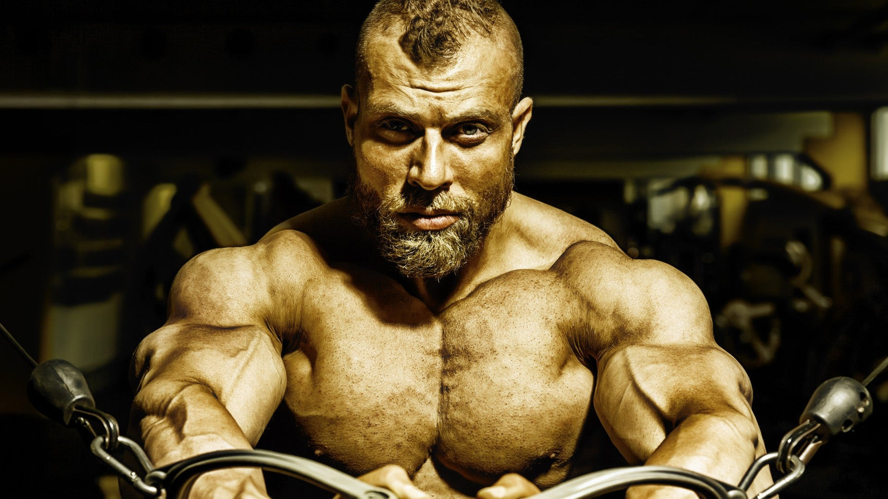 Op-ed illustration on the state of classic bodybuilding