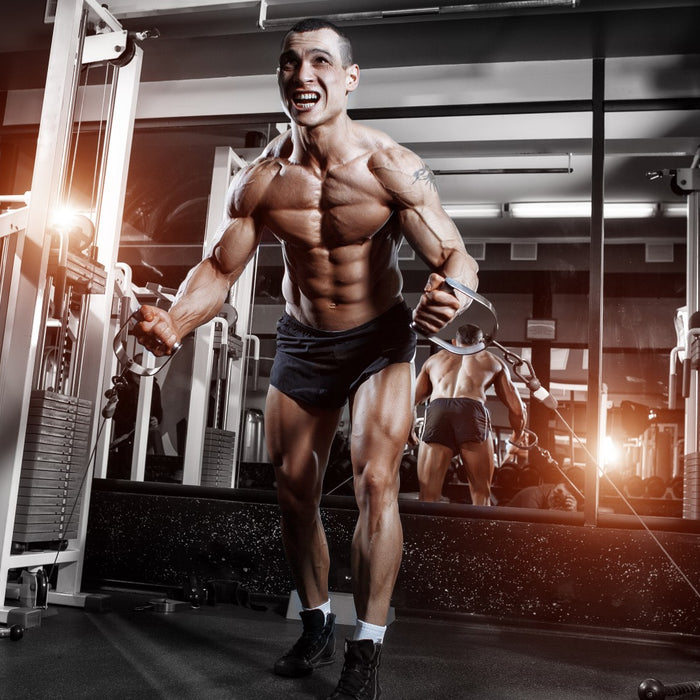 Back to Basics: 15 Upper Body Exercises That Will Transform Your Physique