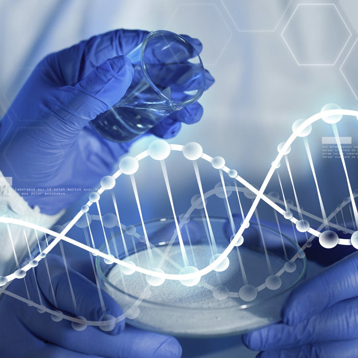 Live Forever? NAD+ Booster NMN May Repair DNA, Fight Aging