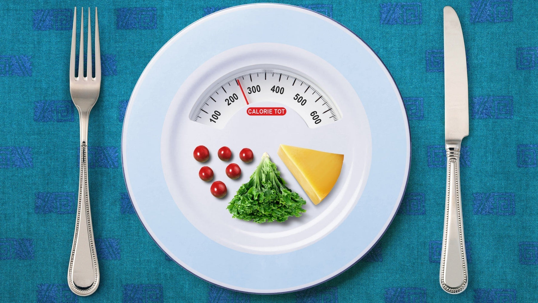 Guide illustrating calorie needs and basal metabolic rate