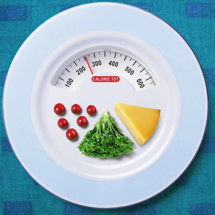 Guide illustrating calorie needs and basal metabolic rate