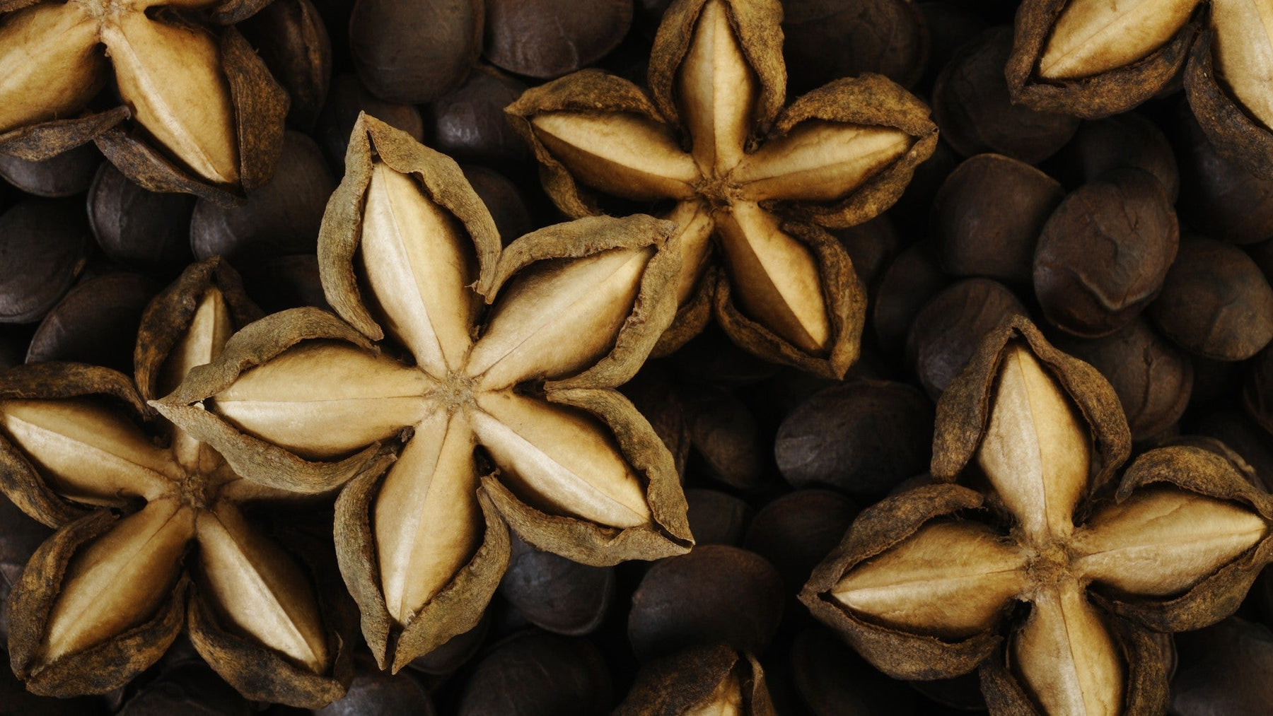 Sacha inchi seeds as a high protein superfood