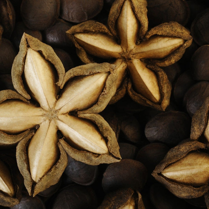 Sacha inchi seeds as a high protein superfood