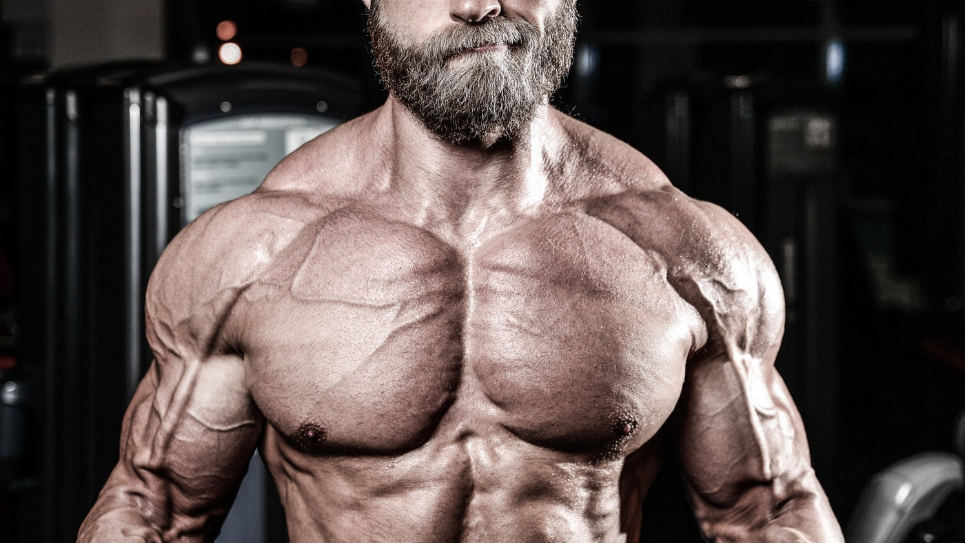 Bench Like a Beast - 20 Day Bench Press Program
