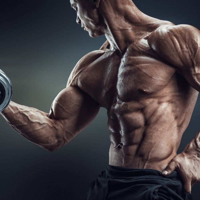 4 Ignored Muscles You Should Train For a Symmetrical Physique