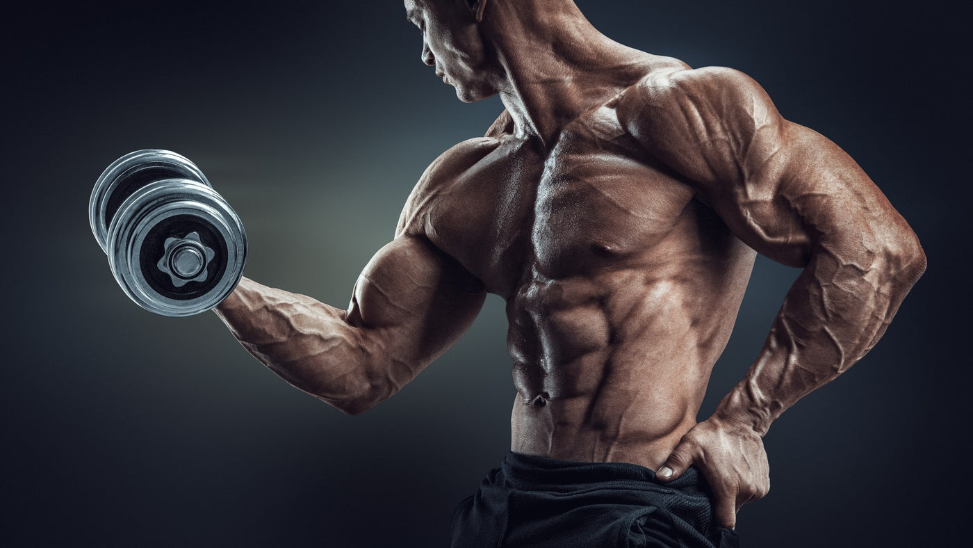 30 Minute Dumbbell Upper Body Workout Routine