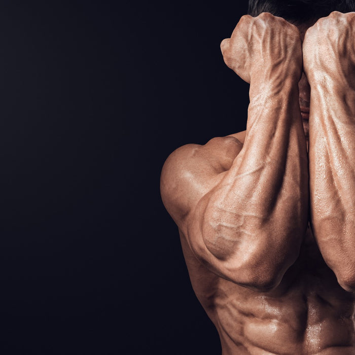 15 Tips For Creating a More Vascular Physique
