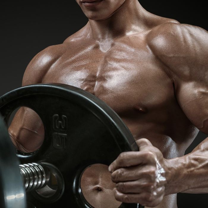 How to Build Your Own Muscle Building Workout