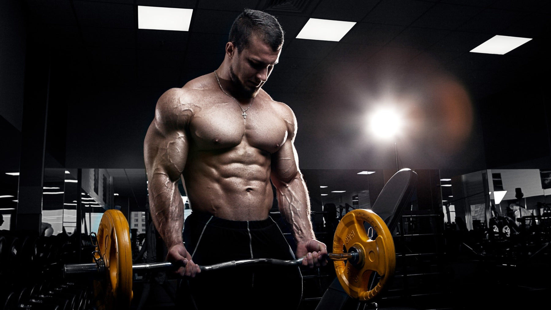 12 Tips To Building Massive Arms