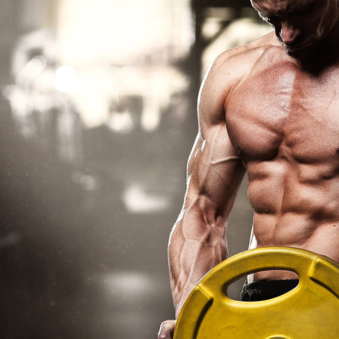 8 One Plate Exercises That Build Muscle