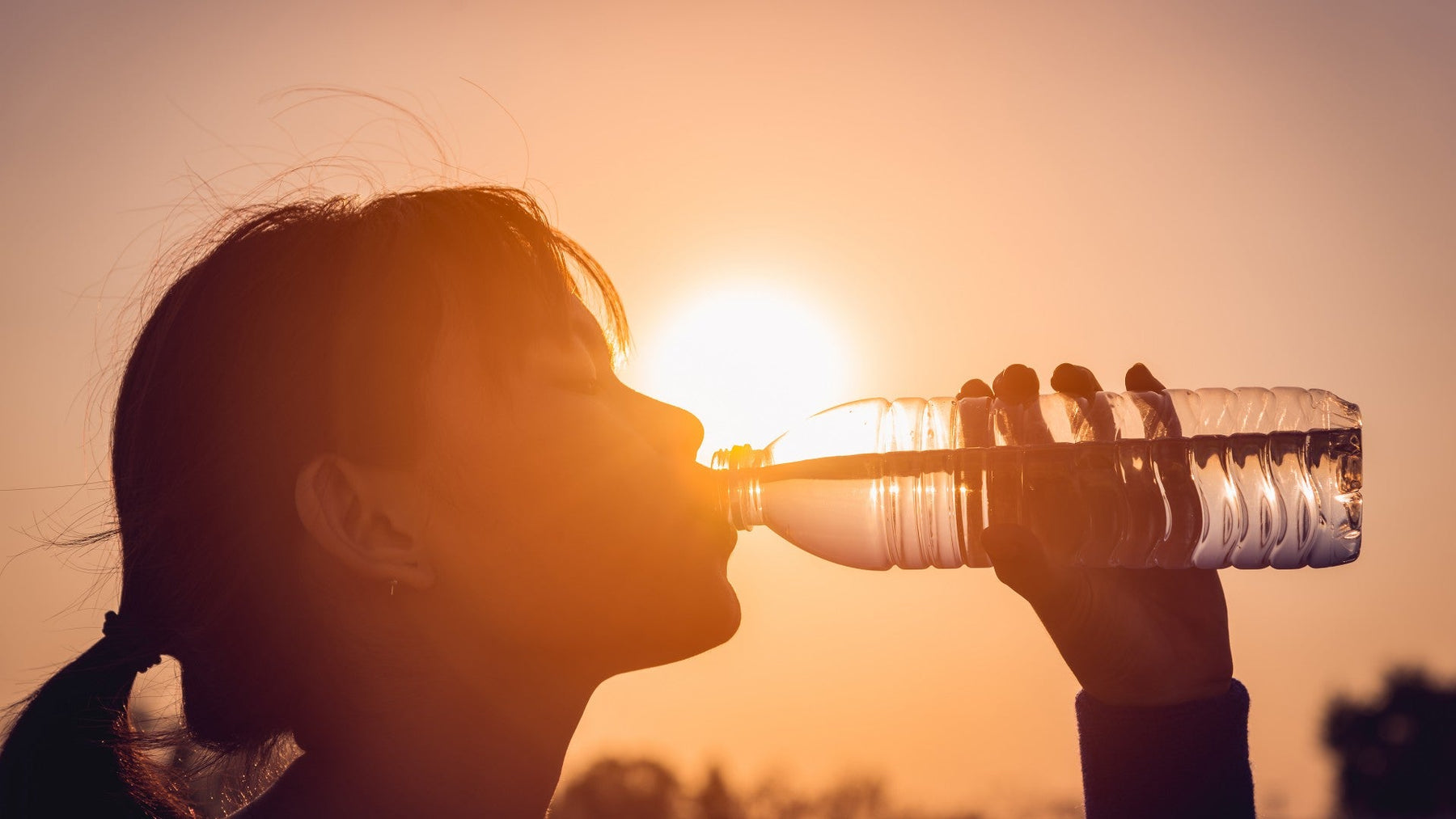 Illustration explaining electrolytes and why you need them