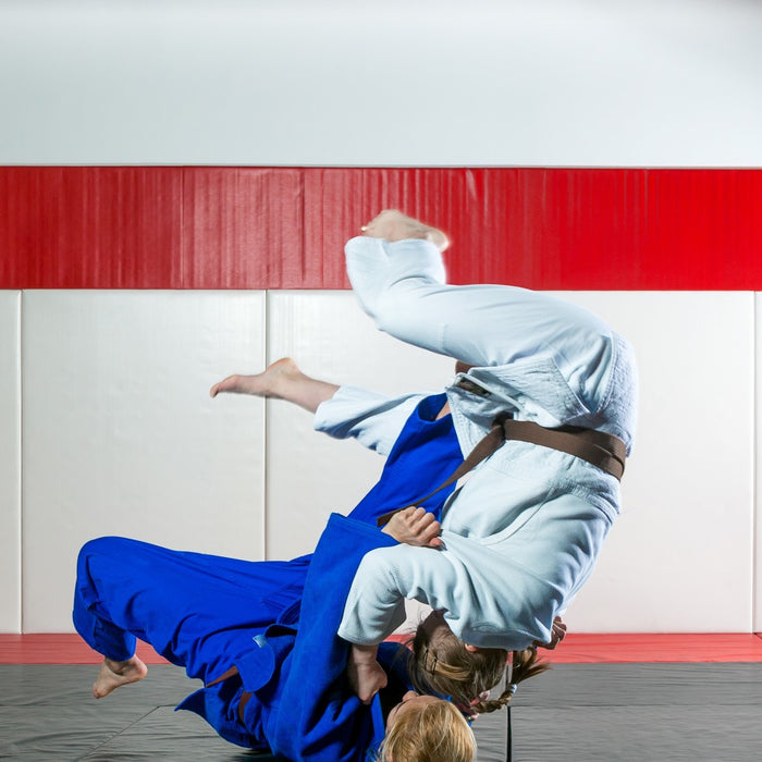 43 of the Best Jiu Jitsu Quotes