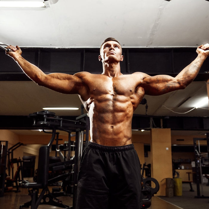 One Sentence Answers to 25 Muscle Building Questions