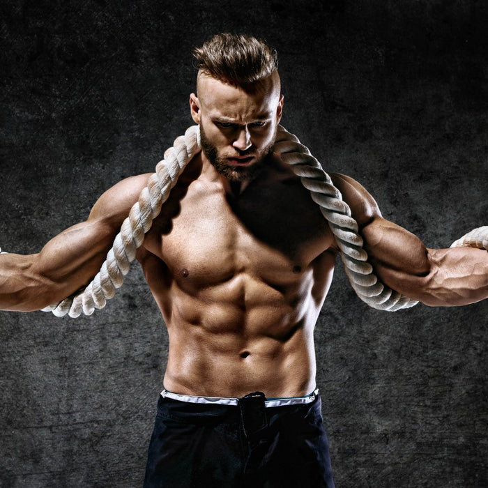 Are Muscle Magazine Workouts Your Best Choice?