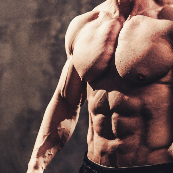 The Best Muscle Building Exercises for Each Bodypart