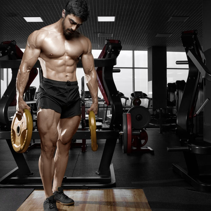 5 Exercises to Increase Your Front Squat and Quadriceps Size