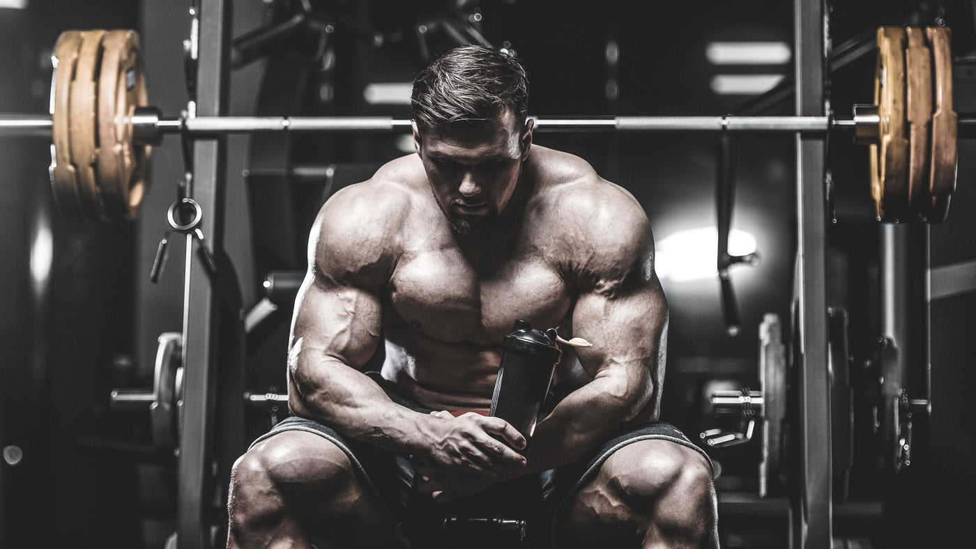 Bench Press