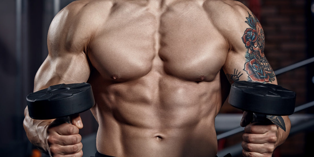4 Day Split Workout Big Brutal and Bold Muscle Building Program Tiger Fitness
