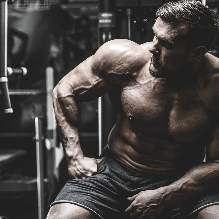 Aminogen - Ultimate Guide to this Protein-Amplifying Powerhouse