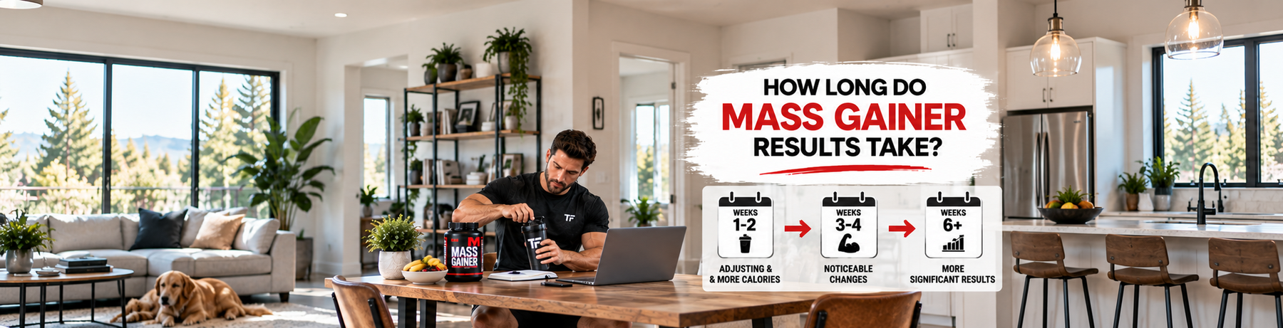How Long Do Mass Gainer Results Take? | 2026