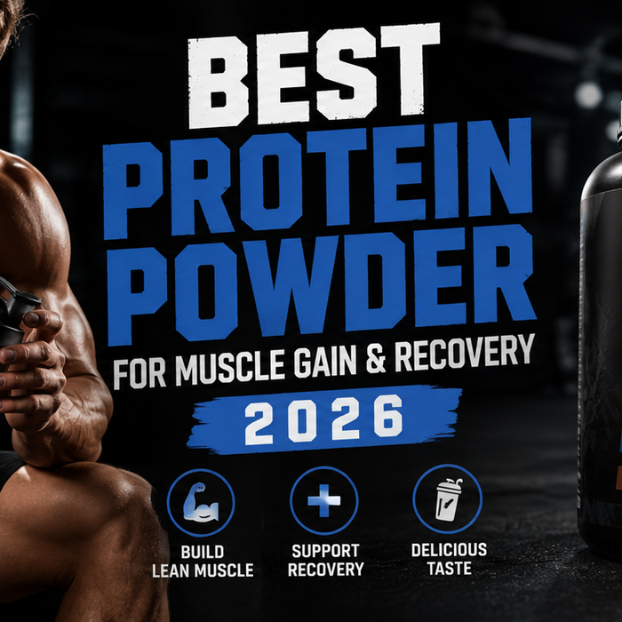 Best Protein Powder for Muscle Gain & Recovery 2026