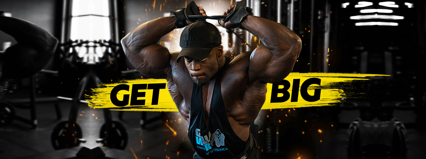 Mr. Olympia's New Year Mass Program