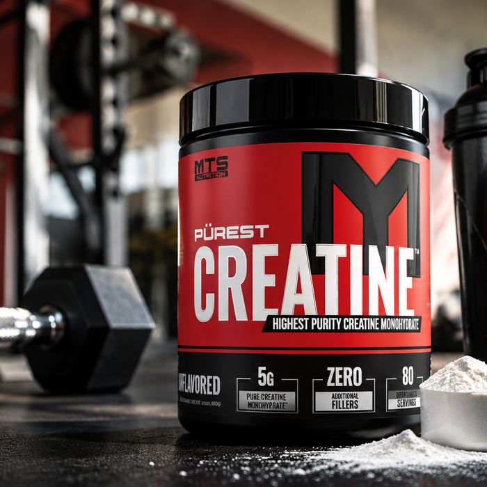 Best Creatine Monohydrate for Beginners (2026 Picks)