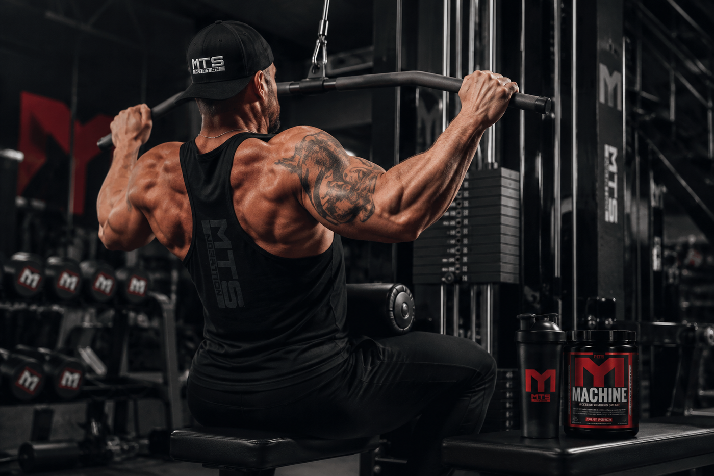 Sculpted Strength in the Gym