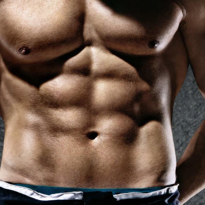 Defined abdominal muscles representing muscle mass gains