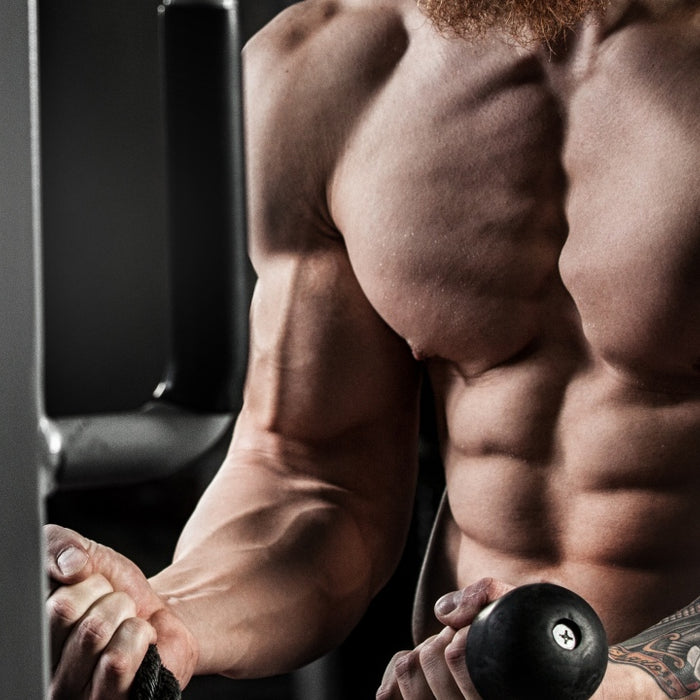 How to Stay Shredded and Strong During the Holidays