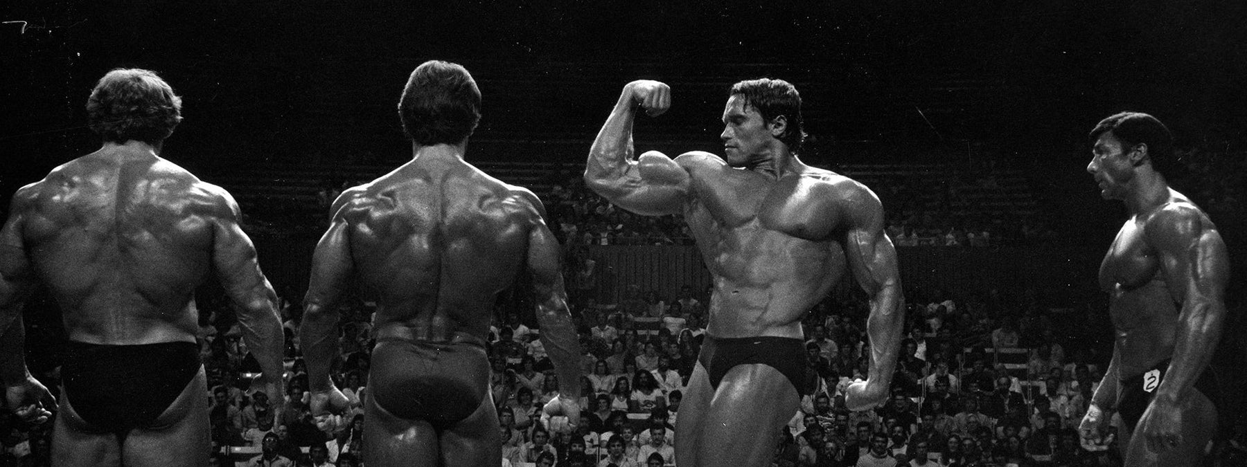 Arnold Schwarzenegger illustrating surprising facts about his life