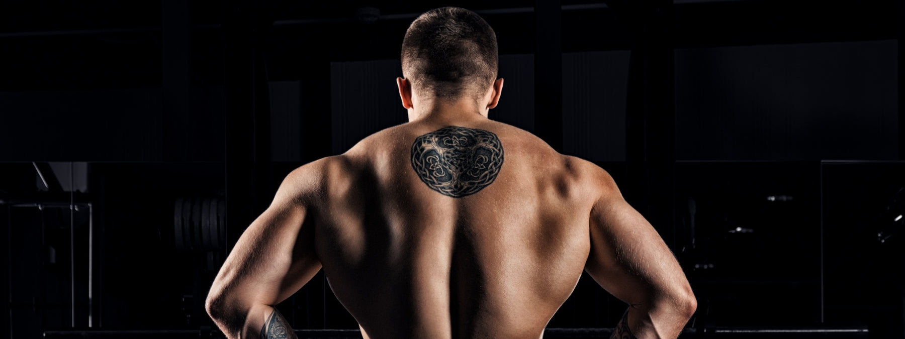 5 Exercises to Increase Your Pull-Up Strength and Back Size