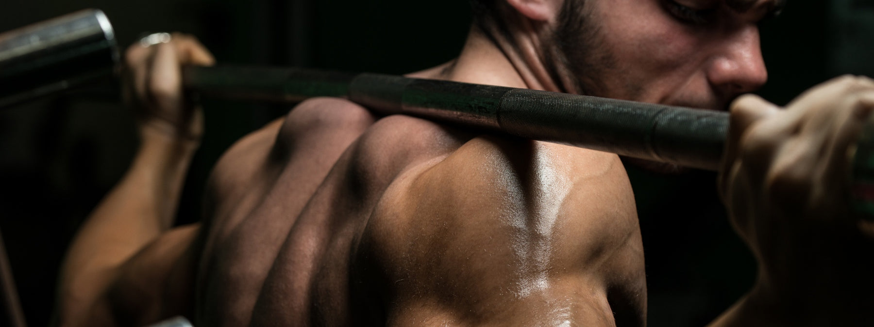 14 Muscle Building Basics for Better Results Now