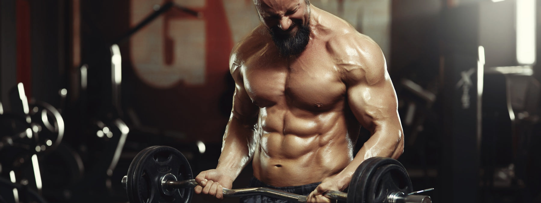 Power Beast Program: 3 Stage Powerbuilding Workout