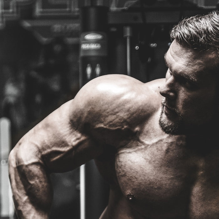 Destroy Bench Press Workouts With These 8 Powerful Tips