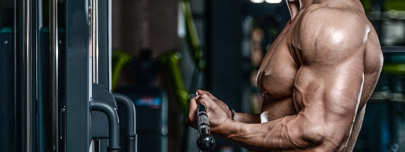 Bigger Biceps Now! 3 Anything But Boring Workouts