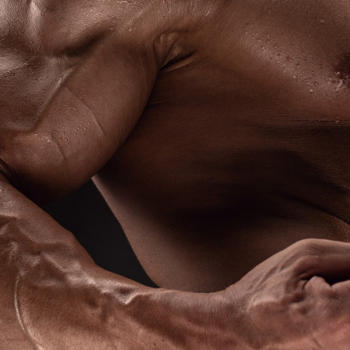 Better Back Workouts for Mass Using These 3 Row Movements