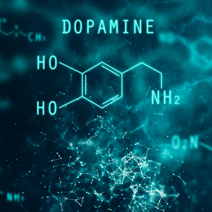 Everything You Need to Know About Dopamine