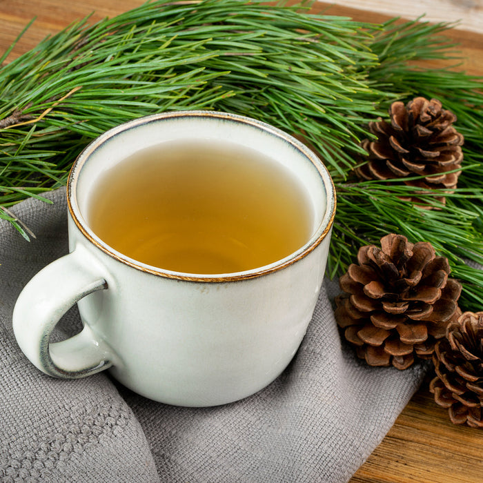 Cup of pine needle tea for winter health