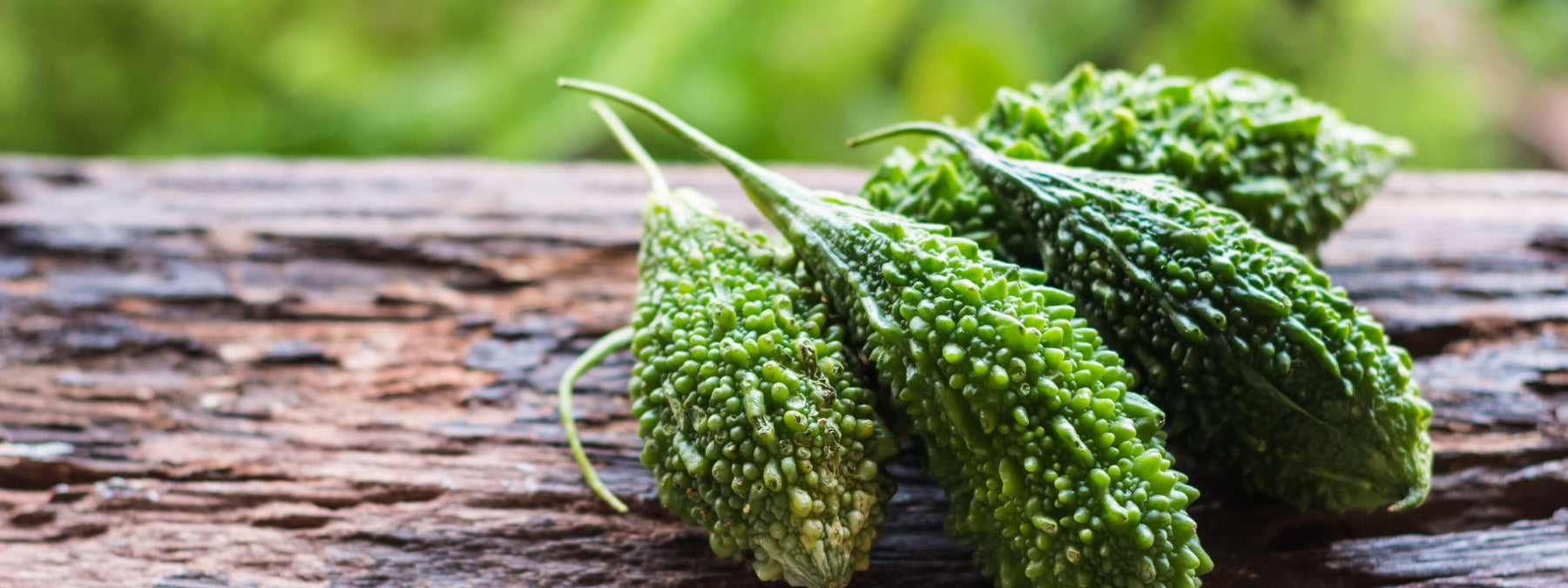 Bitter melon fruit and its health benefits