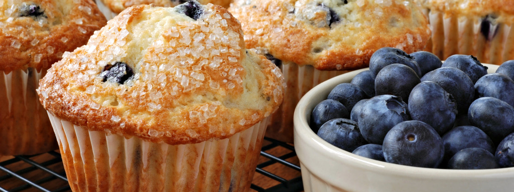 High protein blueberry muffin recipe using MTS Whey