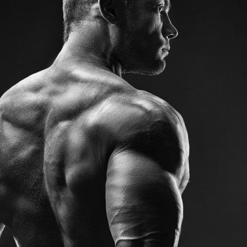Marc Lobliner’s 2026 212 Mr. Olympia Predictions