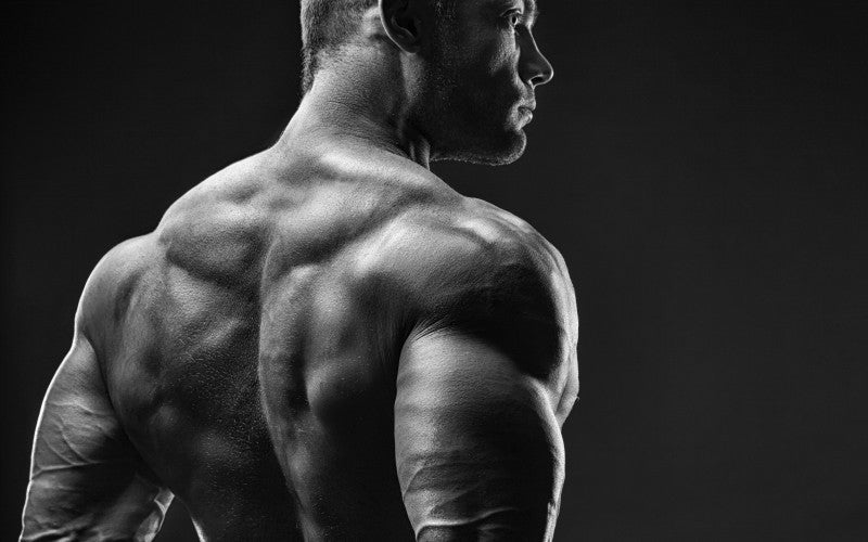 Marc Lobliner’s 2026 212 Mr. Olympia Predictions