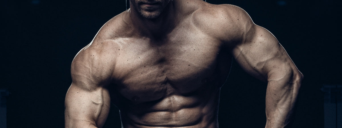 5 Day Workout Routine - Big, Brutal and Bold Program