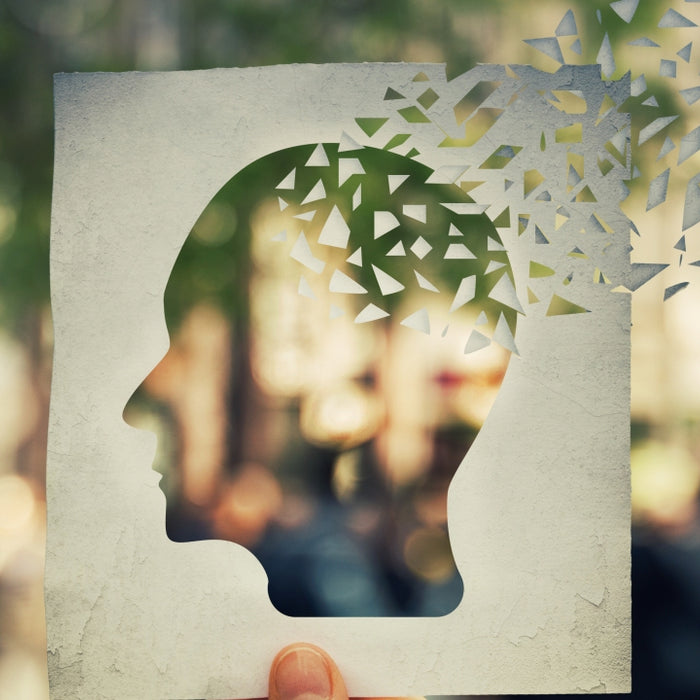 Symptoms of Dementia Reversed in Mice, Human Trials Underway