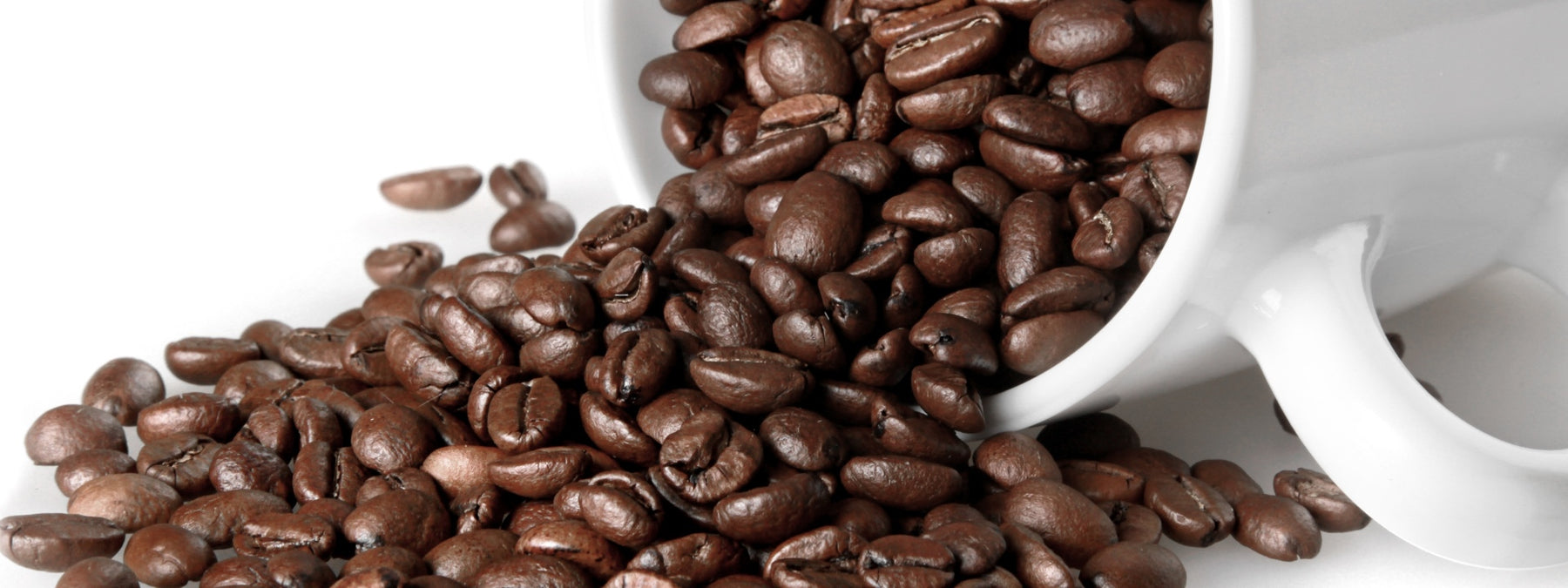 Guide to Caffeine, Caffeine Anhydrous, Dicaffeine Malate, Caffeine Citrate & Pterostilbene